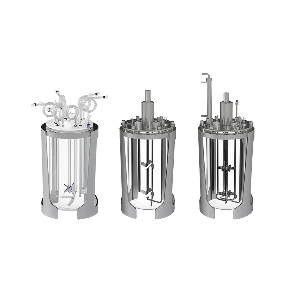 Single-Use or Autoclavable Bioreactors