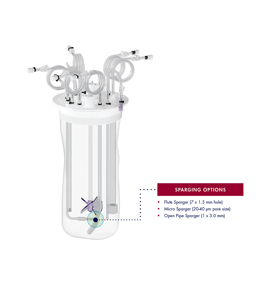 Fine Tune Your Process - Sparging Options